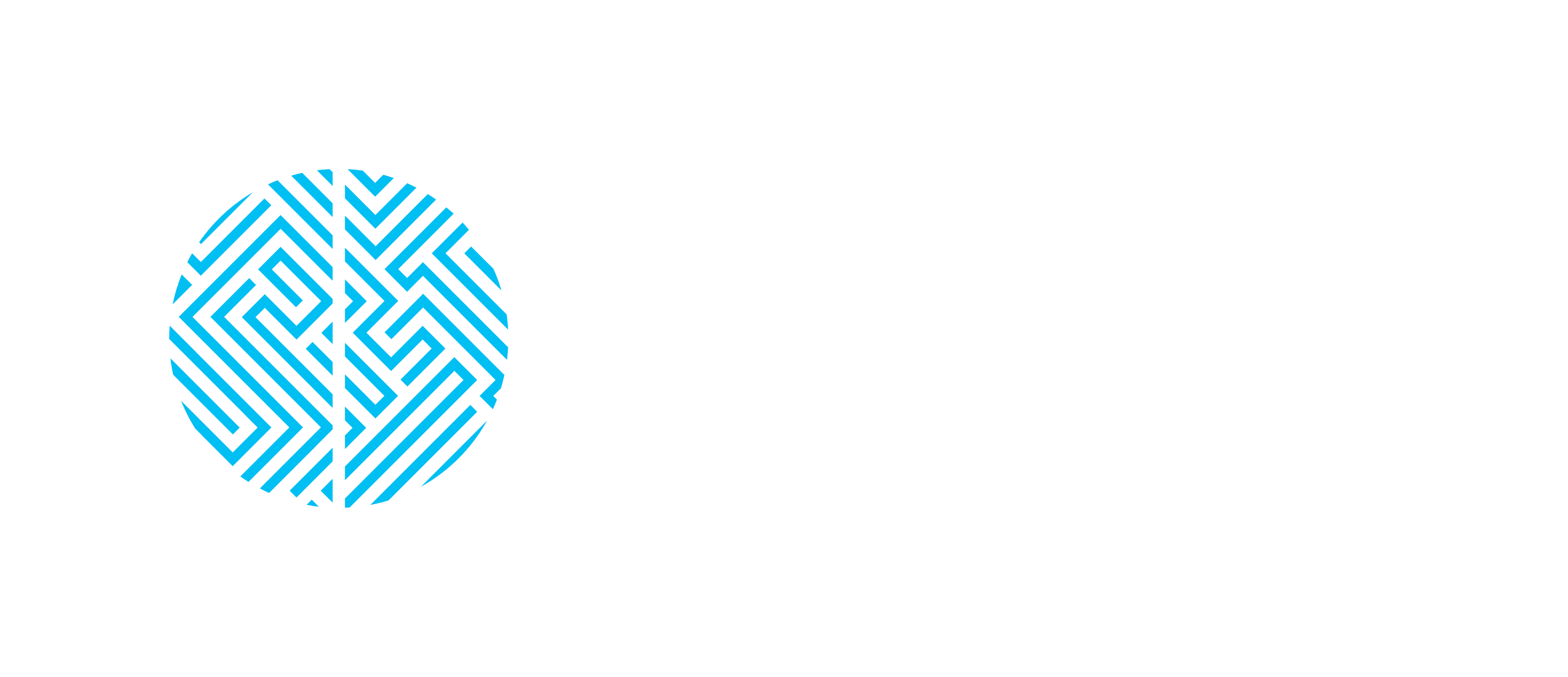 the-brainhealth-project